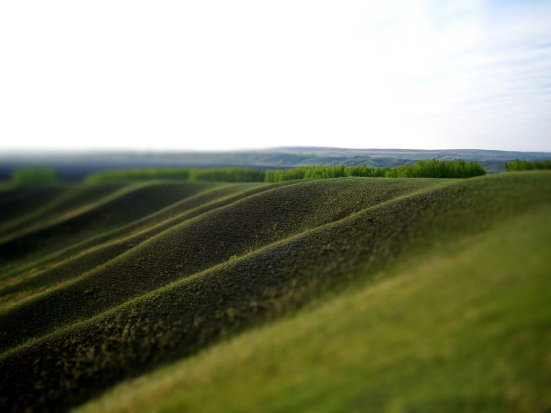 Landschaft,Hügel,Gras,Feld,Grün,Horizont