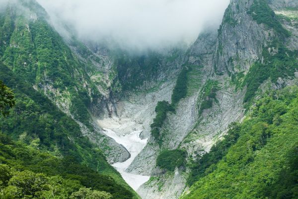 trees, landscape, forest, mountains, Japan, waterfall