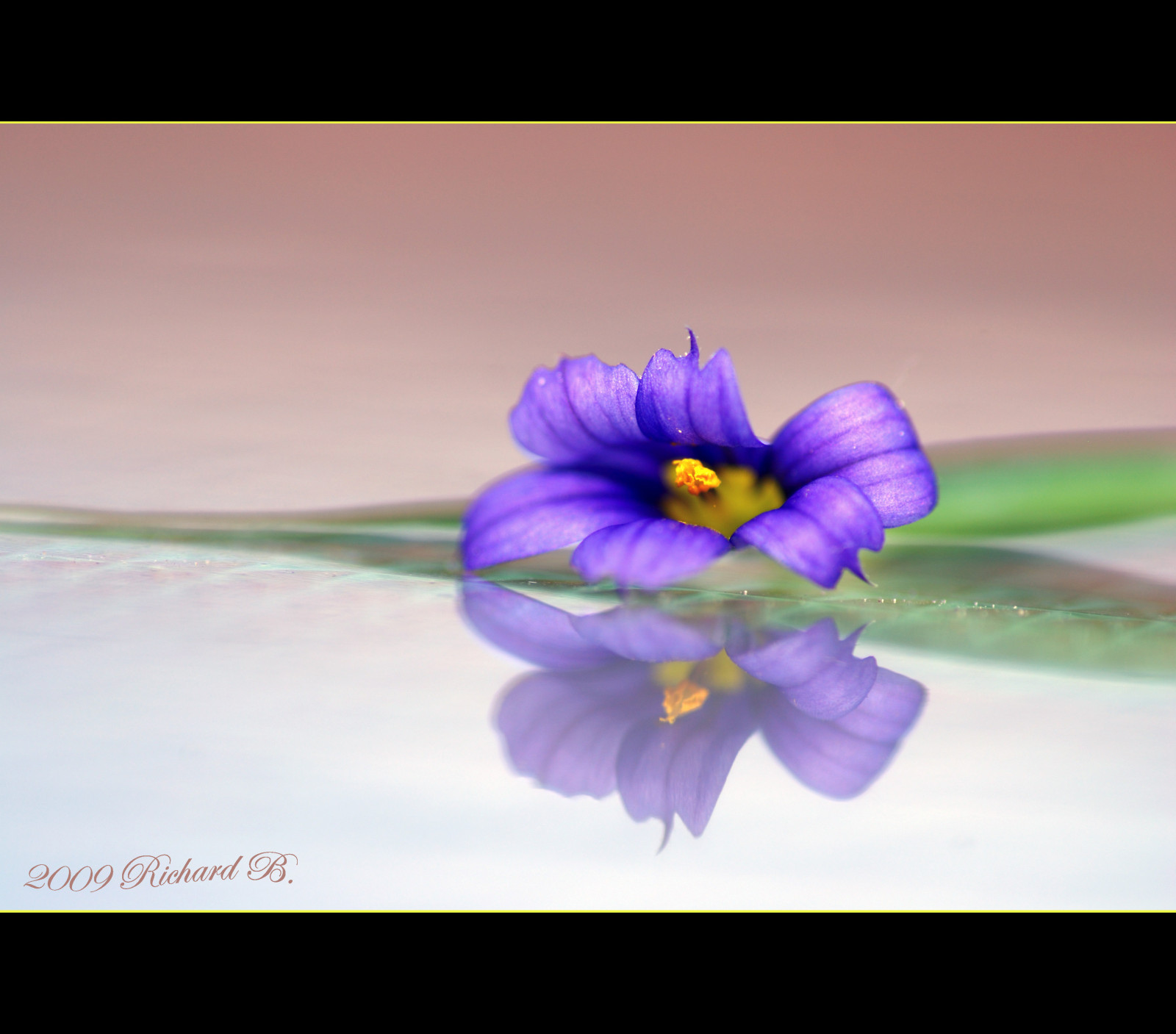My Image 38
