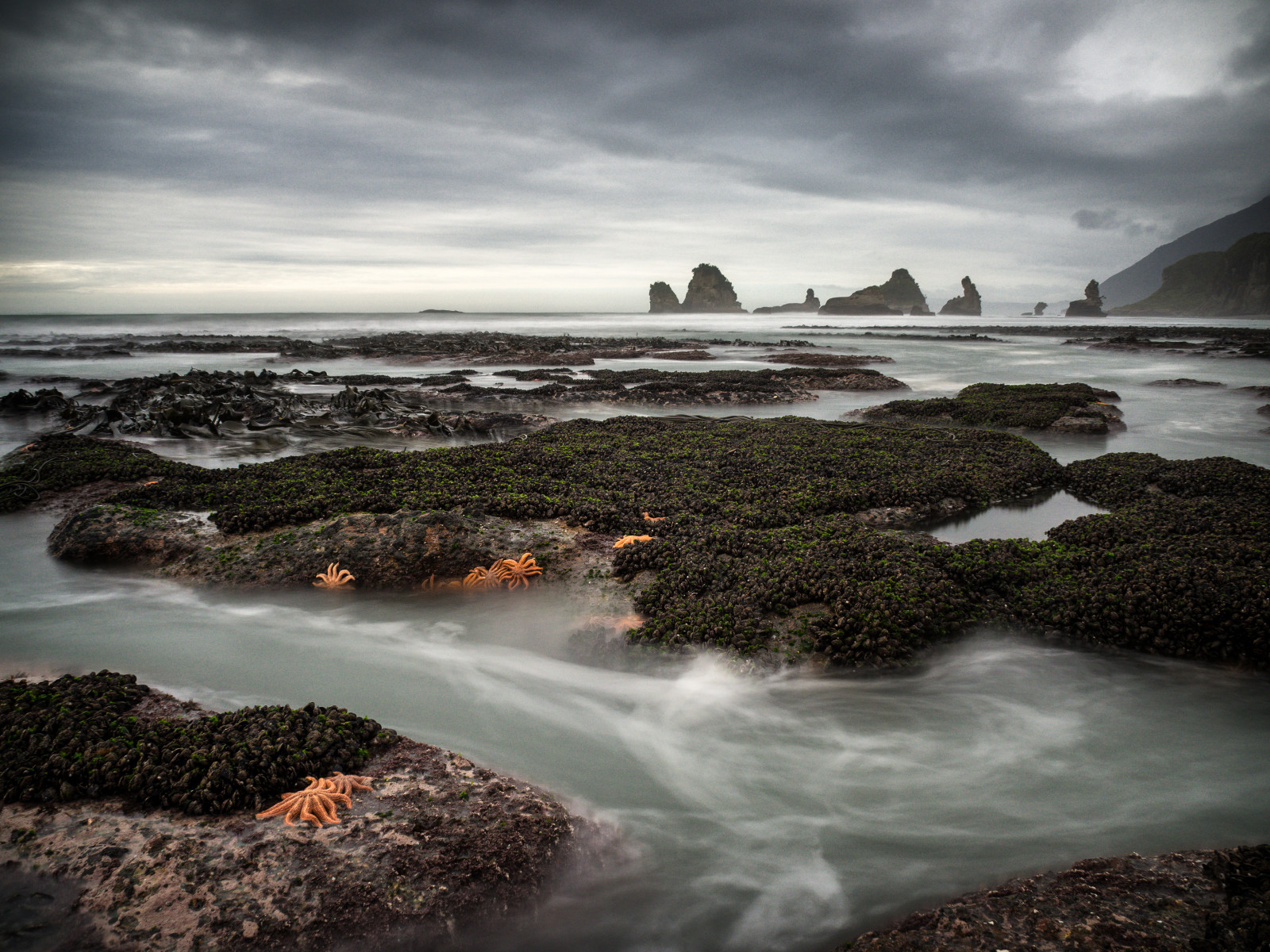 Littleblackmussel, Motukiekie, Nový Zéland, zakalený, Intertidalzon, kelp, krajina, longexposure, mořský život, rozostření pohybu, movingwater, oranžový, rockformation, moře, seastack, přímořská krajina, mořský břeh, mořská hvězdice, Reefstarfish