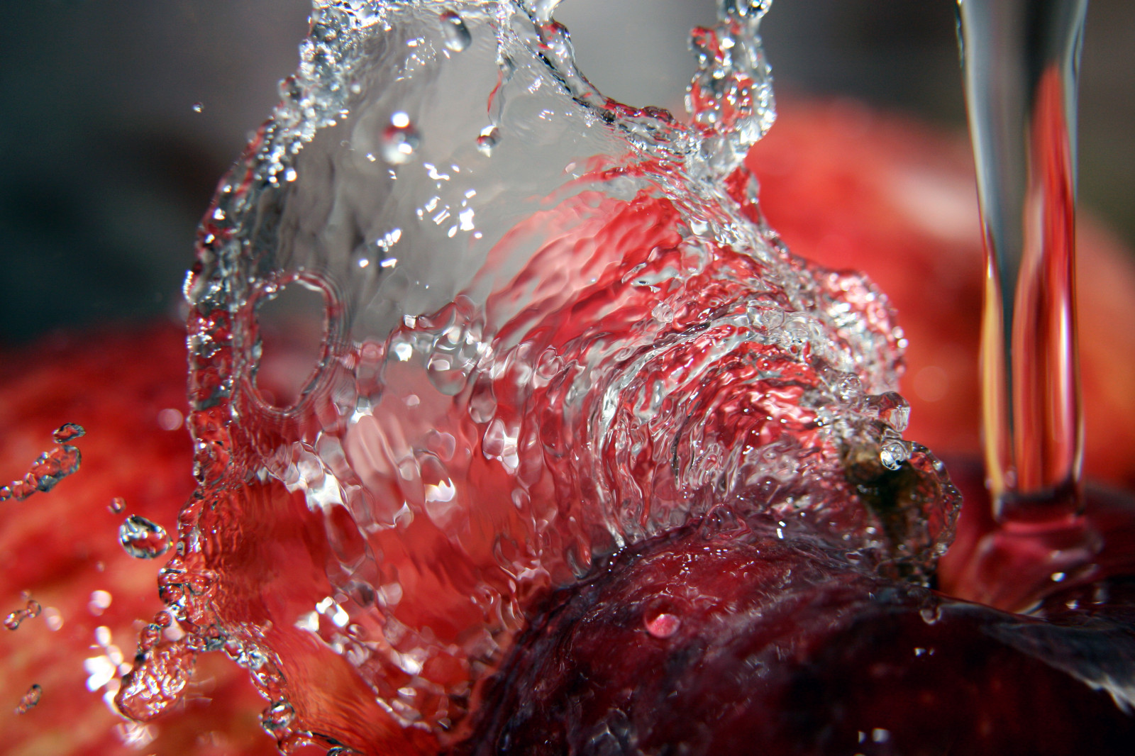 Wallpaper water, fruit, apple, drop, gota, manzana, computer