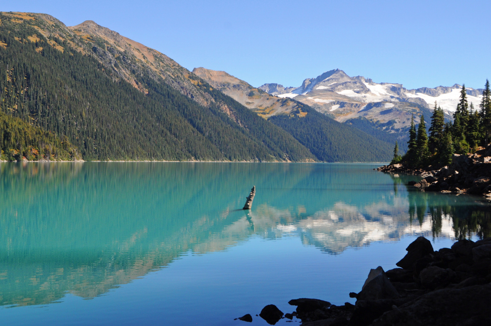 letní, slunce, bílý, hora, jezero, sníh, Kanada, hory, odraz, strom, voda, les, krajina, šplhat, před naším letopočtem, tyrkysový, skalnatý, Slunný, Columbia, túra, ledovec, kopce, víčko, pahýl, Garibaldi, Bristish, beyondhue