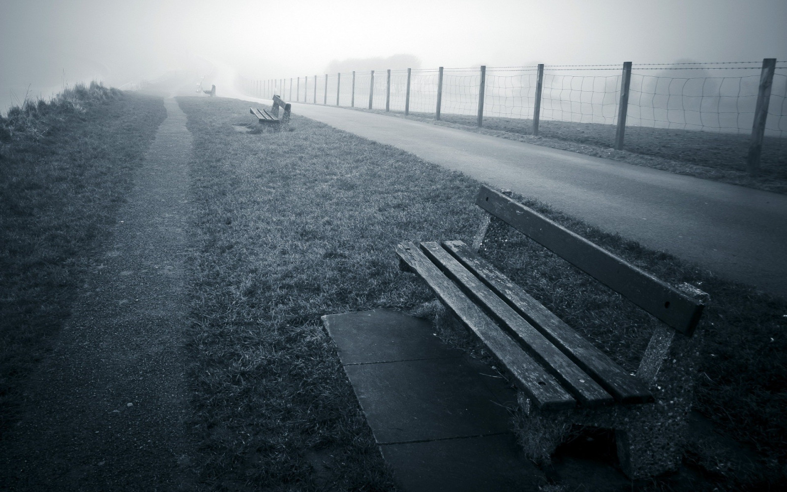 lumina soarelui, monocrom, iarbă, zăpadă, iarnă, drum, dimineaţă, aburi, bancă, atmosfera, gard, cale, Congelare, ceață, ușoară, ceaţă, vreme, formă, întuneric, fenomen atmosferic, atmosfera pământului, alb-negru, Fotografie alb-negru
