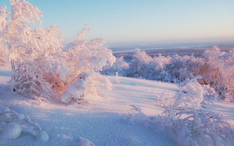 landscape, nature, snow, winter, ice, morning landscape, nature, snow, winter, ice, morning