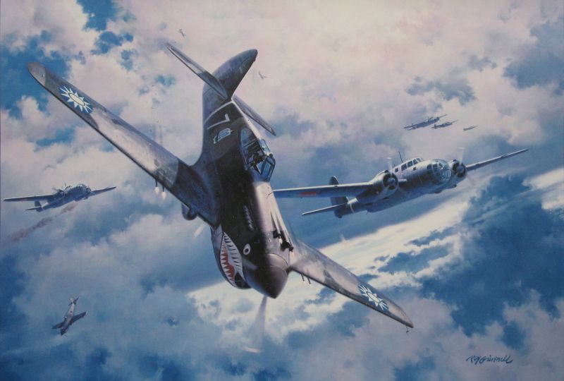 World War II,aircraft,airplane,Curtiss P 40 Warhawk,war