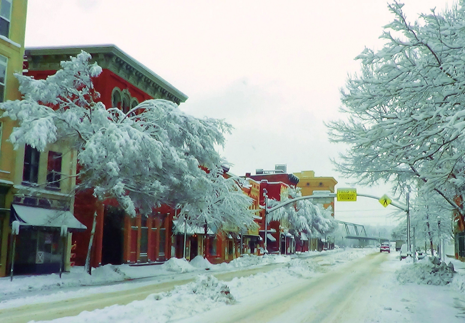 雪, 冬季, 科, 屋, 冰, 霜, 镇, 圣诞树, 圣诞, 冷杉, 冷冻, 树, 卡尔西丝, 家, 暴风雪, 邻里, 居住区, 冬季风暴, 松家庭, mariettaohio, 东南欧