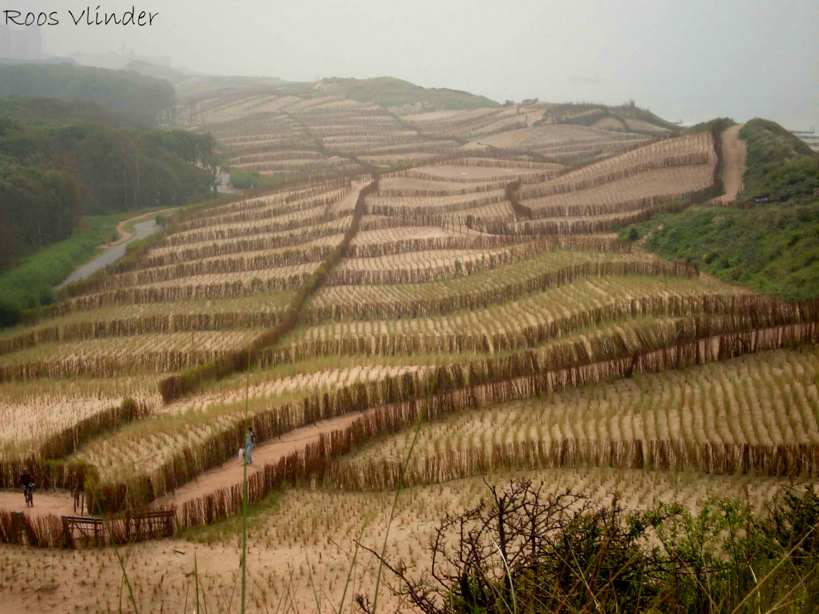 moře, Dovolená, Sony, duna, cybershot, Zeeland, Dishoek, Dscw50, flickraward