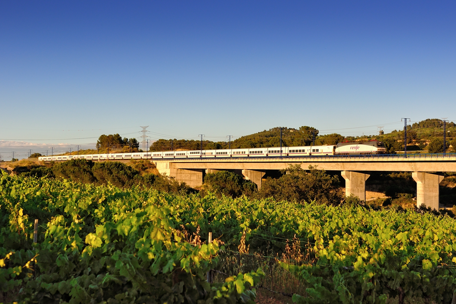 nebe, rostlina, most, strom, pole, dráha, silnice, slunečnímu záření, tráva, krajina, horizont, zemědělství