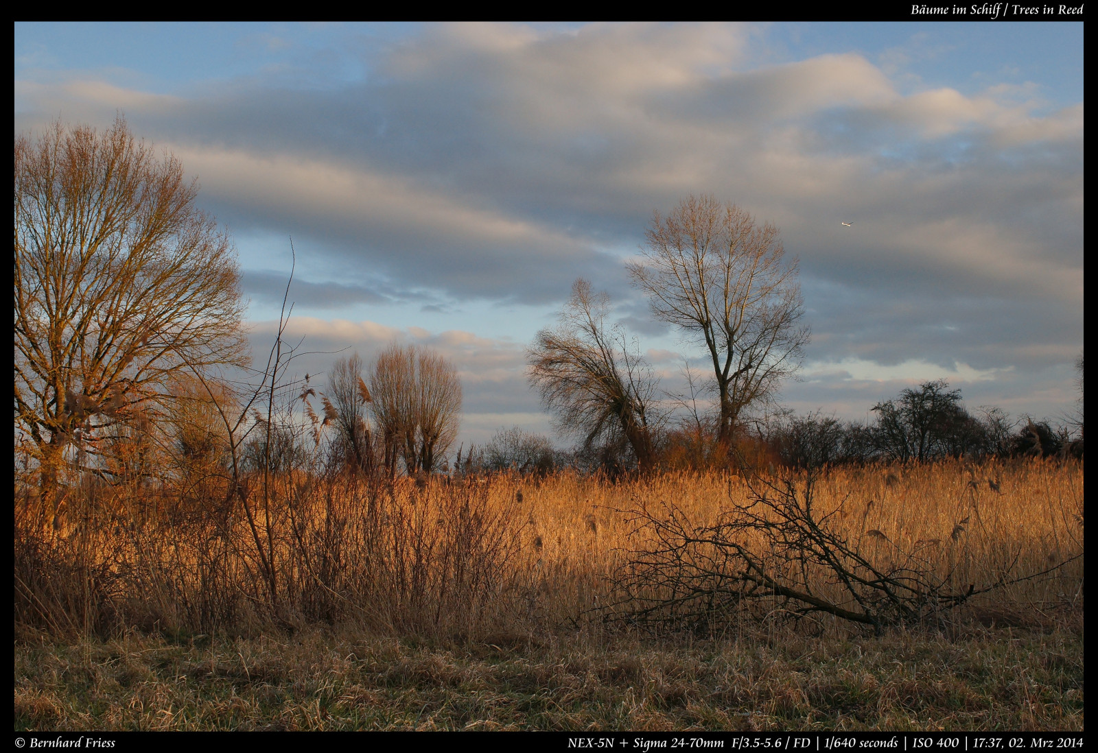 Kamera, Original, Winter, Licht, Bw, KUNST, Photoshop, Kanon, Jahrgang, Deutschland, aus, Linse, Deutschland, Prime, Licht, März, interessant, Europa, Europa, Flickr, Fotografie, Zoom, Nein, Kunst, Sony, Sigma, Kätzchen, Beste, erforschen, die meisten, Handbuch, Gerade, Alpha, Beliebt, Länge, Landschaft, Entkernt, M rz, Bernhard, Original-, Fd, Fokal, Nachbearbeitung, Nex, Badenwurttemberg, 2470mm, Manuelle, Ooc, Interessant, Unbearbeitet, Klassisch, Rheinneckar, Entdecken, Sooc, Friess, Ketsch, 5n, Flickriver, Zusammenbringen, Fluidr, Unverf lscht