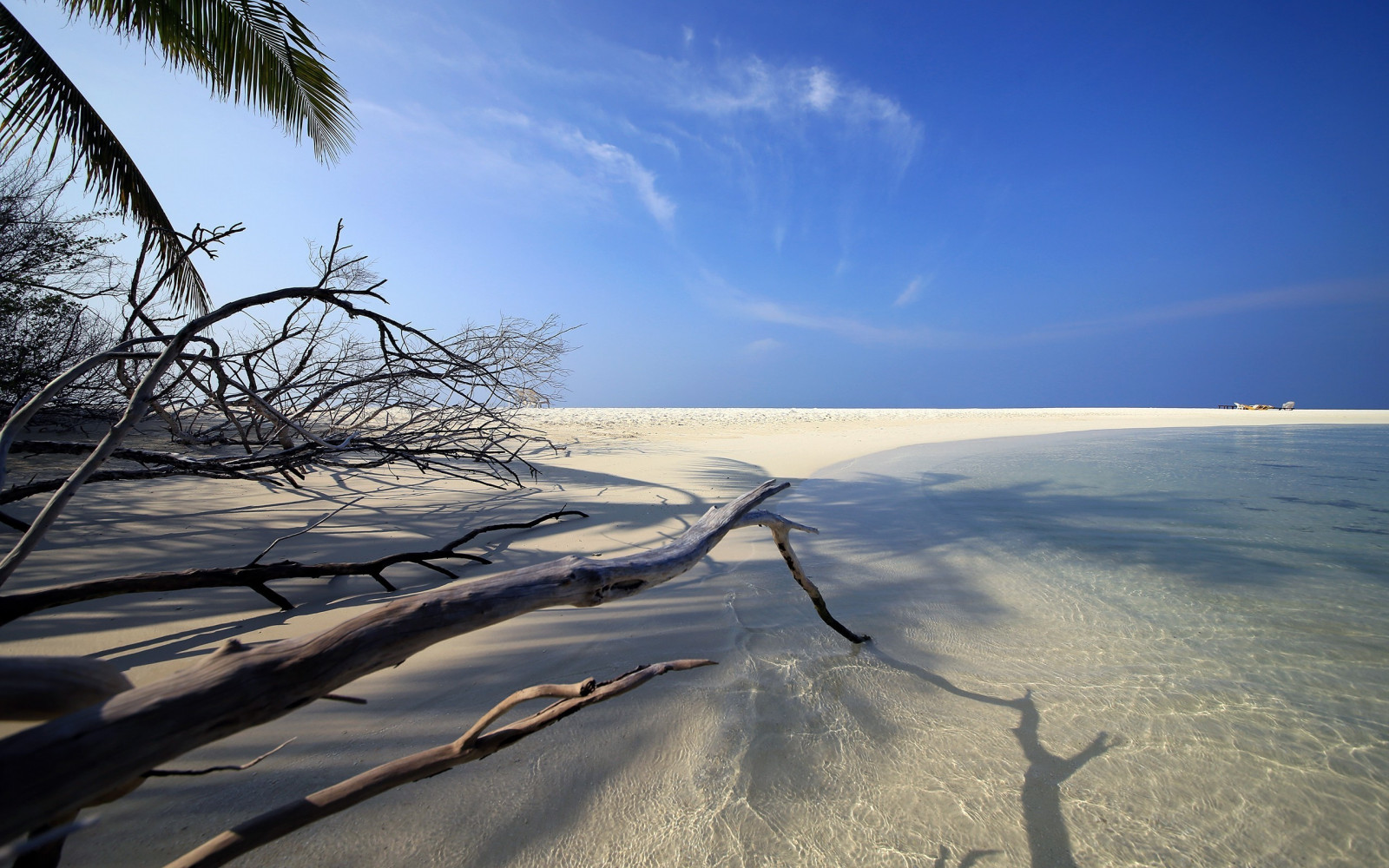 slunečnímu záření, krajina, západ slunce, moře, jezero, Příroda, pobřeží, písek, odraz, nebe, sníh, pláž, svítání, ráno, pobřeží, vítr, horizont, soumrak, mrak, svítání, oceán, vlna, 2560x1600 px, místo výskytu, přírodní prostředí, Atmosféra Země