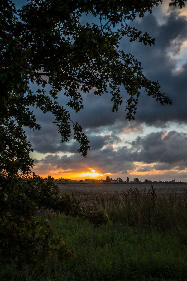 sunlight, landscape, sunset, hill, nature, forest
