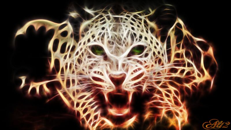 1920x1080 px,suricate,Zoo