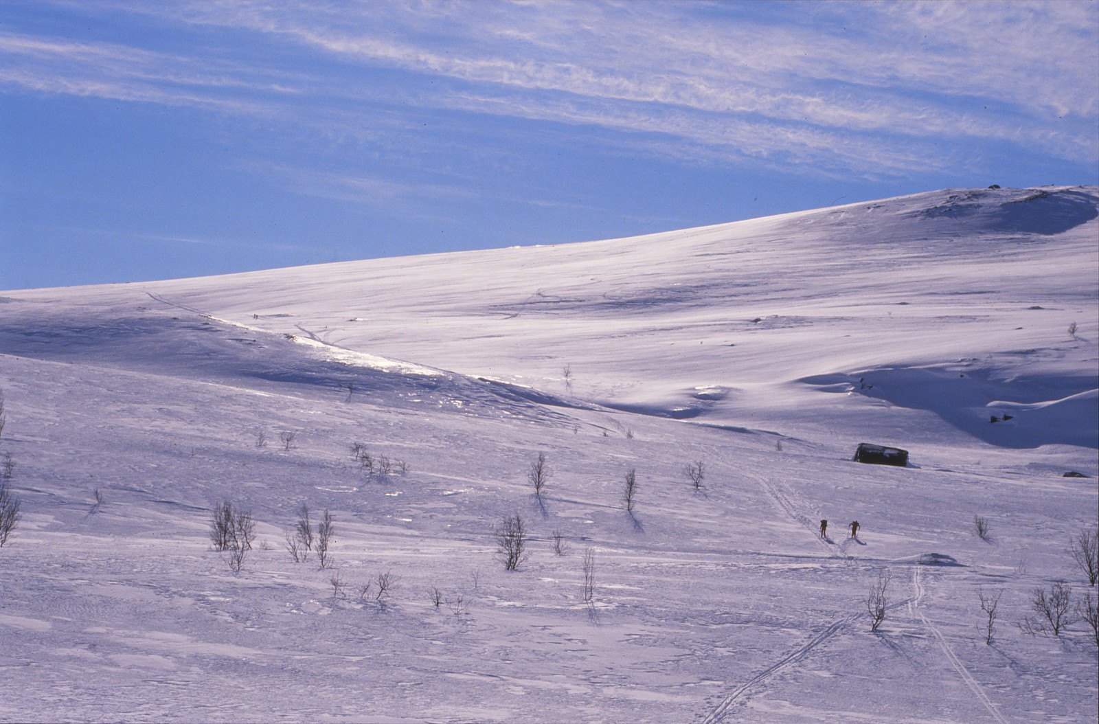 Wallpaper : dr parn, outdoor, Ski, crosscountry, Troms, t nsvika