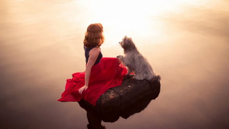 ženy, milovat, Červené, sedící, fotografování, ráno ženy, milovat, Červené, sedící, fotografování, ráno