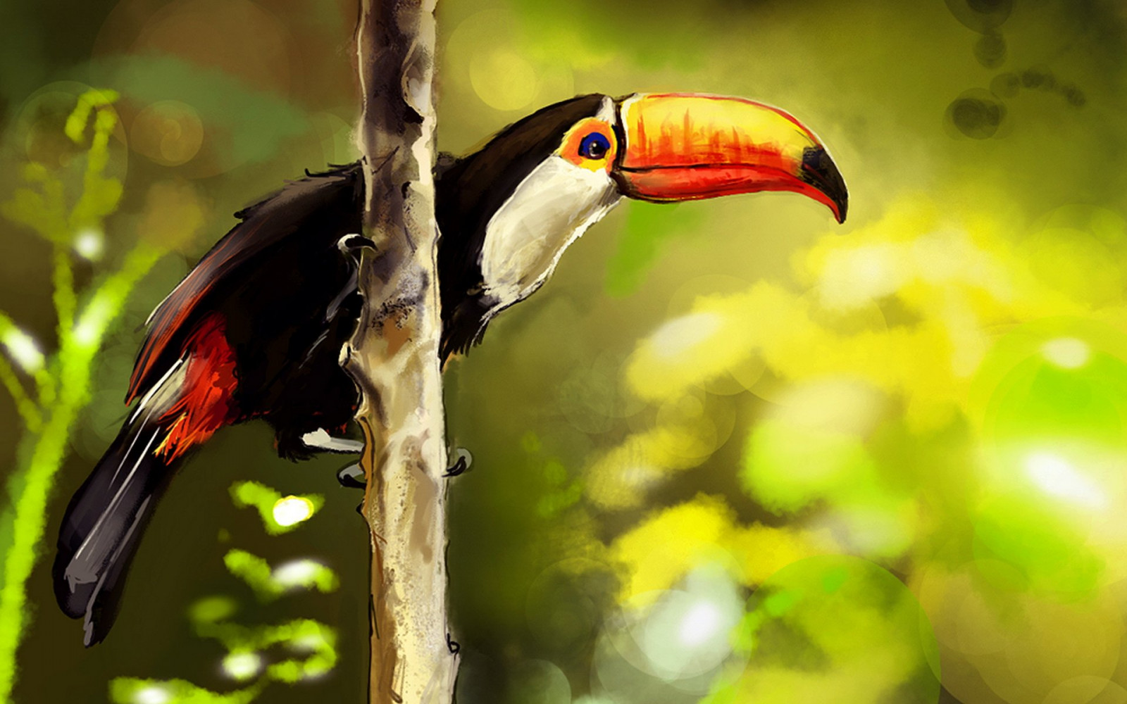 1920x1200 px, 68, นก, นกแก้ว, Toucan, ร้อน