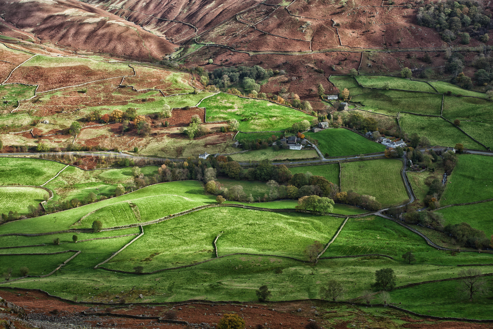 træer, landskab, bakke, græs, Mark, grøn, England, landsby, Brun, dal, sten-, Europa, fugleperspektiv, mount landskaber, Cumbria, træ, efterår, gå, efterårsfarver, bjerg, udsigt, græsarealer, vandretur, over, sæson, antenne, huse, græs, felter, vegetation, vægge, terrasse, landbrug, eng, plantage, almindeligt, Det Forenede Kongerige, sø område, canoneos5dmarkii, highland, afgrøde, landdistrikt, luftfotografering, græs familie, hill station, faldt, dyne, ef1740mmf4lusm, patchwork, skrænt, Easedale, Grasmere, autumncolour, grænser, Townhead, helmcrag, Millbridge, lionandthelamb, A591