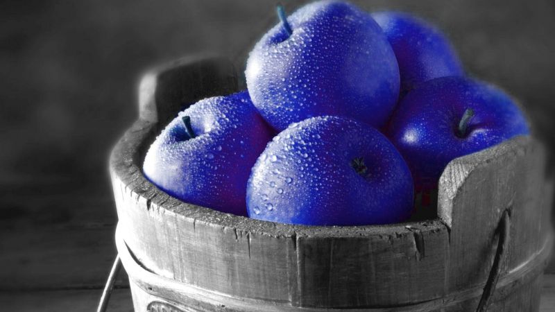 cibo,fotografia,frutta,mele,coloranti selettivi,blu