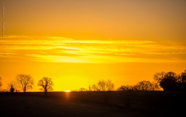 sunlight,sunset,500px,sky,field,sunrise