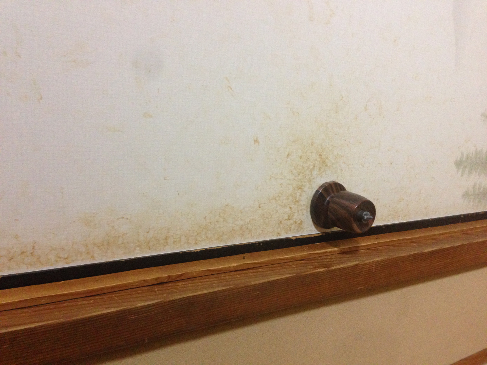 หน้าต่าง, ผนัง, ไม้, ชั้นวางของ, การออกแบบตกแต่งภายใน, ปูนปลาสเตอร์, รูปร่าง, ชั้น, เพดาน, ไม้อัด, หน้าต่างครอบคลุม, เครื่องมือสตริง, พื้น, ปั้น