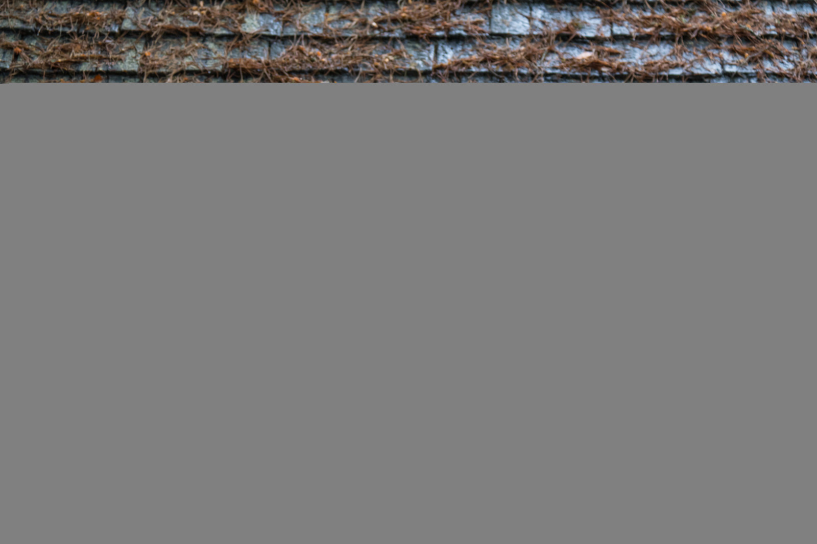 anděl, stěna, dřevo, text, vzor, textura, Stockholm, kyrkog rd, materiál, design, patro, podlaha, dno, čára, hřbitov, attackfoto, attackfoto7, skogskyrkog rden, thewoodlandcemetery