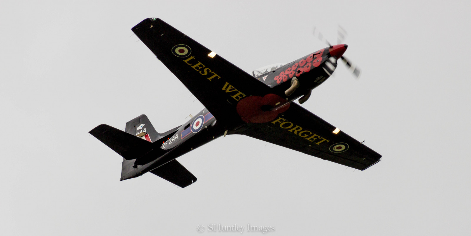 shorts, køretøj, fly, fly, militærfly, valmuer, luftfart, Skærm, vinge, flyselskab, atmosfære af jord, jagerfly, luft show, kunstflyvning, generel luftfart, Grumman f8f bearcat, luft racing, flymotor, monoplan, modelfly, tucano, turboprop, worldwars, leastweforget