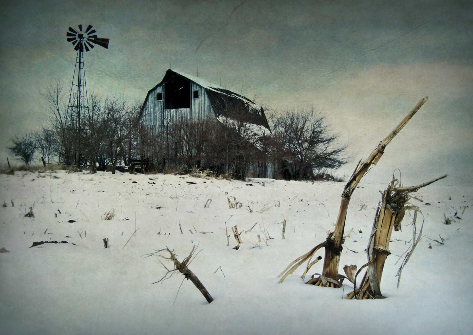 zima, sníh, textura, větrný mlýn, stodola, venkovský, Středozápad, hospodařit, země, sklizeň, Missouri, pole