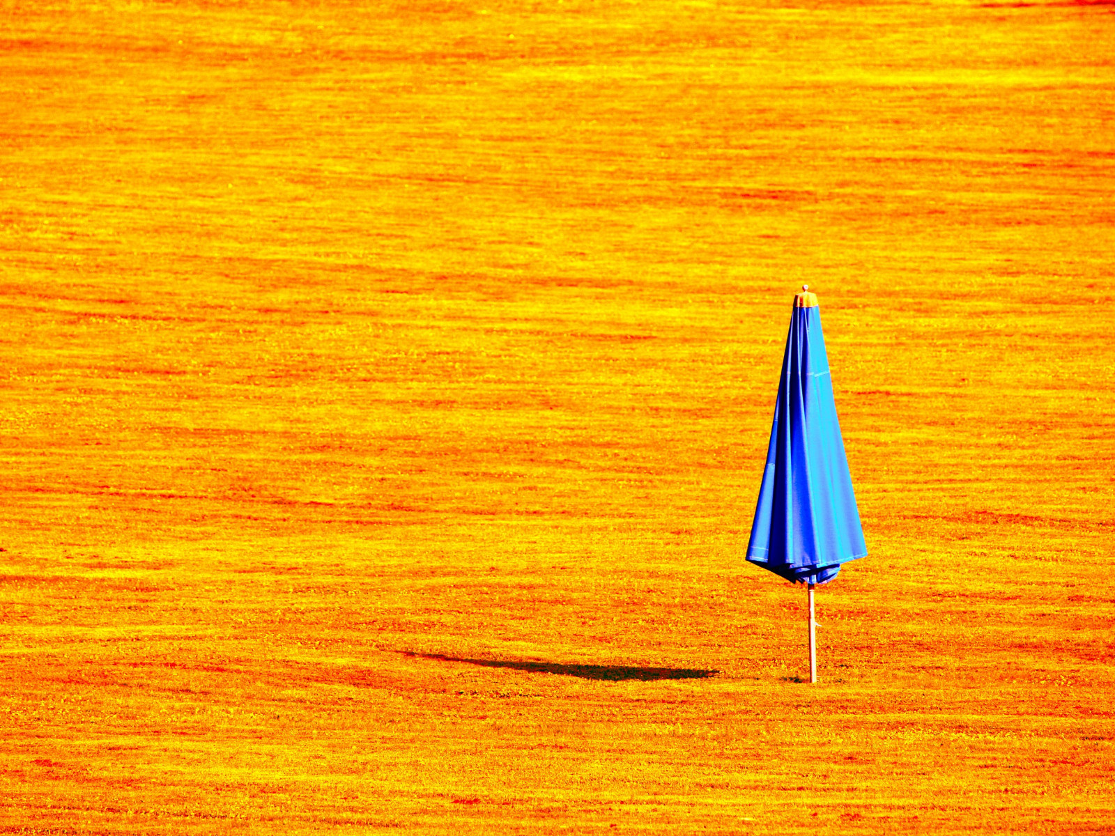 slunečnímu záření, tráva, deštník, žlutý, večer, Německo, oranžový, letní, Evropa, UMĚNÍ, rostlina, sezóna, křídlo, objekt, twocolors, BlueOrange, badnauheim, TimeOfDay, landesgartenschauhessen2010