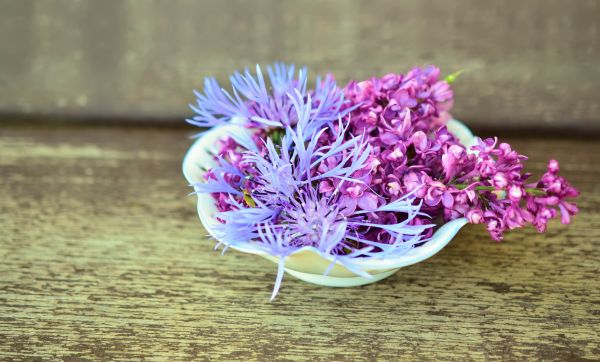 lilac,cornflower,flowers,decoration