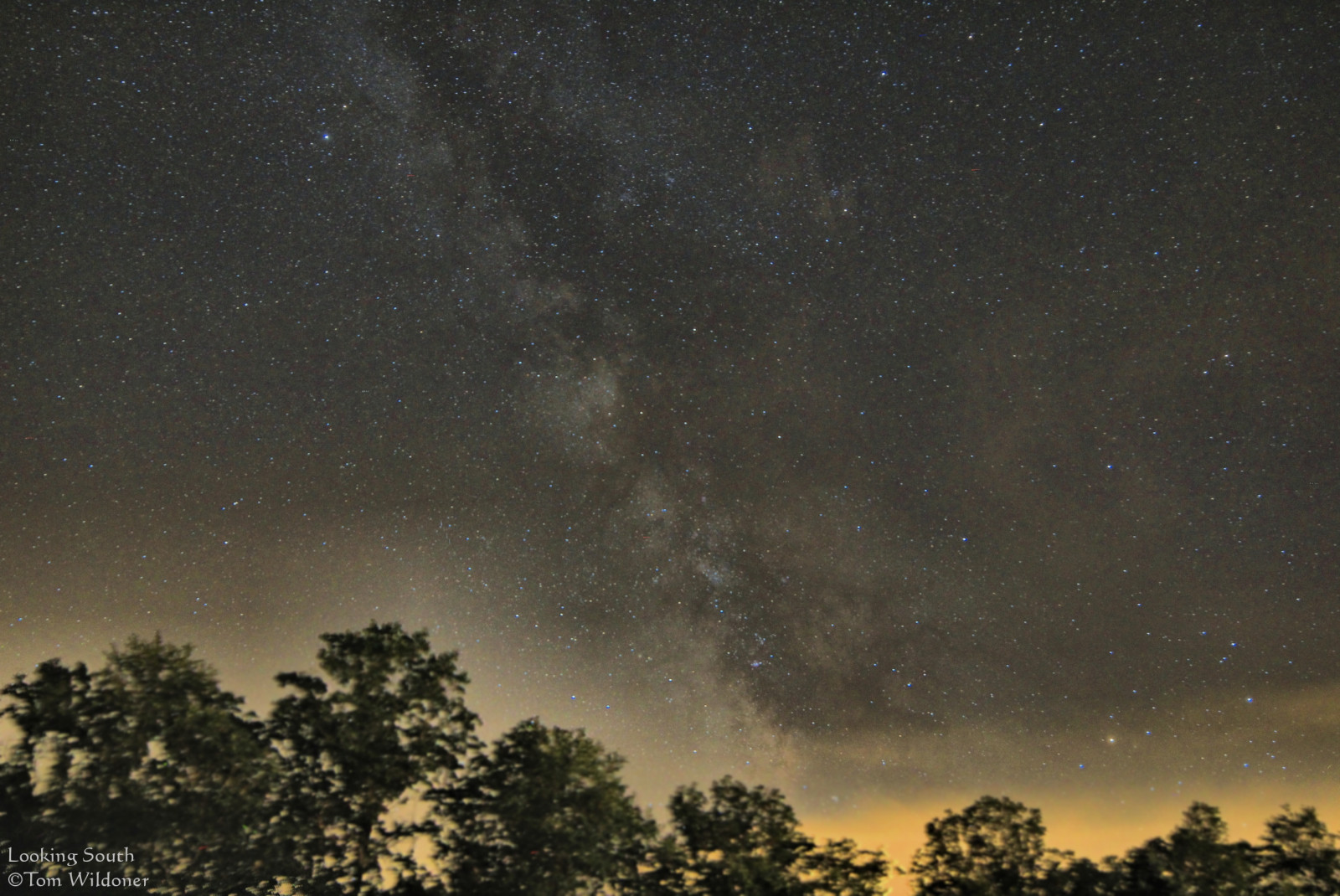 stromy, noc, Kánon, hvězdy, záře, shluk, Střelec, Štír, galaxie, mlhovina, astrophotography, astronomie, noční obloha, souhvězdí, kosmologie, mléčný, Samyang, galacticcenter, tomwildoner