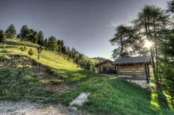 structure,grass,trees,HDR