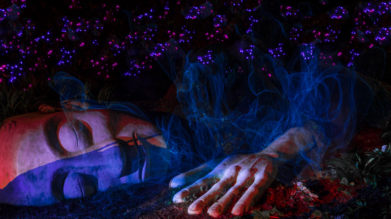 park, květiny, modrý, světlo, spací, stín, Kanada, lightpainting, abstraktní, Černá, barva, UMĚNÍ, tvář, dáma, noc, míč, temný, mimo, venku, světla, večer, chladný, nightlights, barvy, před naším letopočtem, noční scéna, nachový, hlava, spát, skvělý, křivky, koule, Victoria, koule, paintingwithlight, trippy, psychedelic, beaconhill, beaconhillpark, Lightart, lightpaint, Shadowpeople, singleexposure, lightjunkies