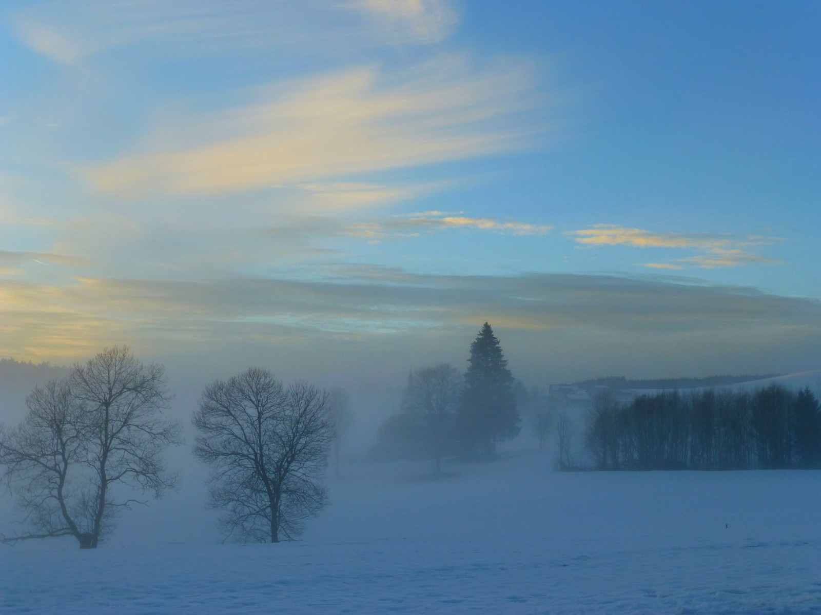 nebe, zima, zmrazení, mlha, sníh, mlha, svítání, atmosféra, ráno, strom, svítání, jev, mráz, během dne, slunečnímu záření, horizont, večer, uklidnit, mrak, led, soumrak, krajina, počítač tapeta
