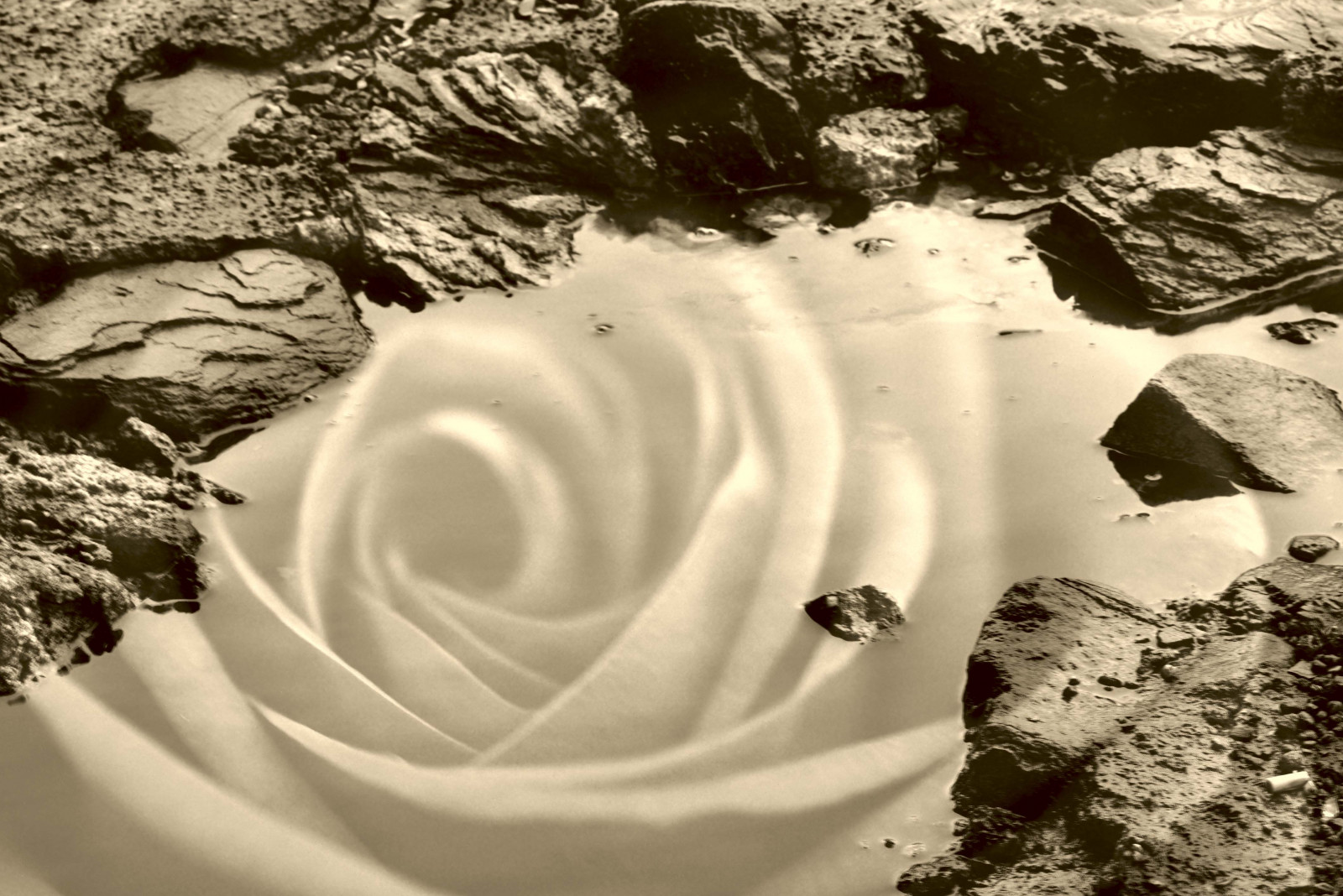 bílý, černobílý, voda, růže, 2017, květ, rostlina, tělesné, okvětní lístek, rekuperační, počítač tapeta, Černý a bílý, monochromatické fotografování, zblízka, zátiší fotografování, únor, Emsland, pf tze, stock photography