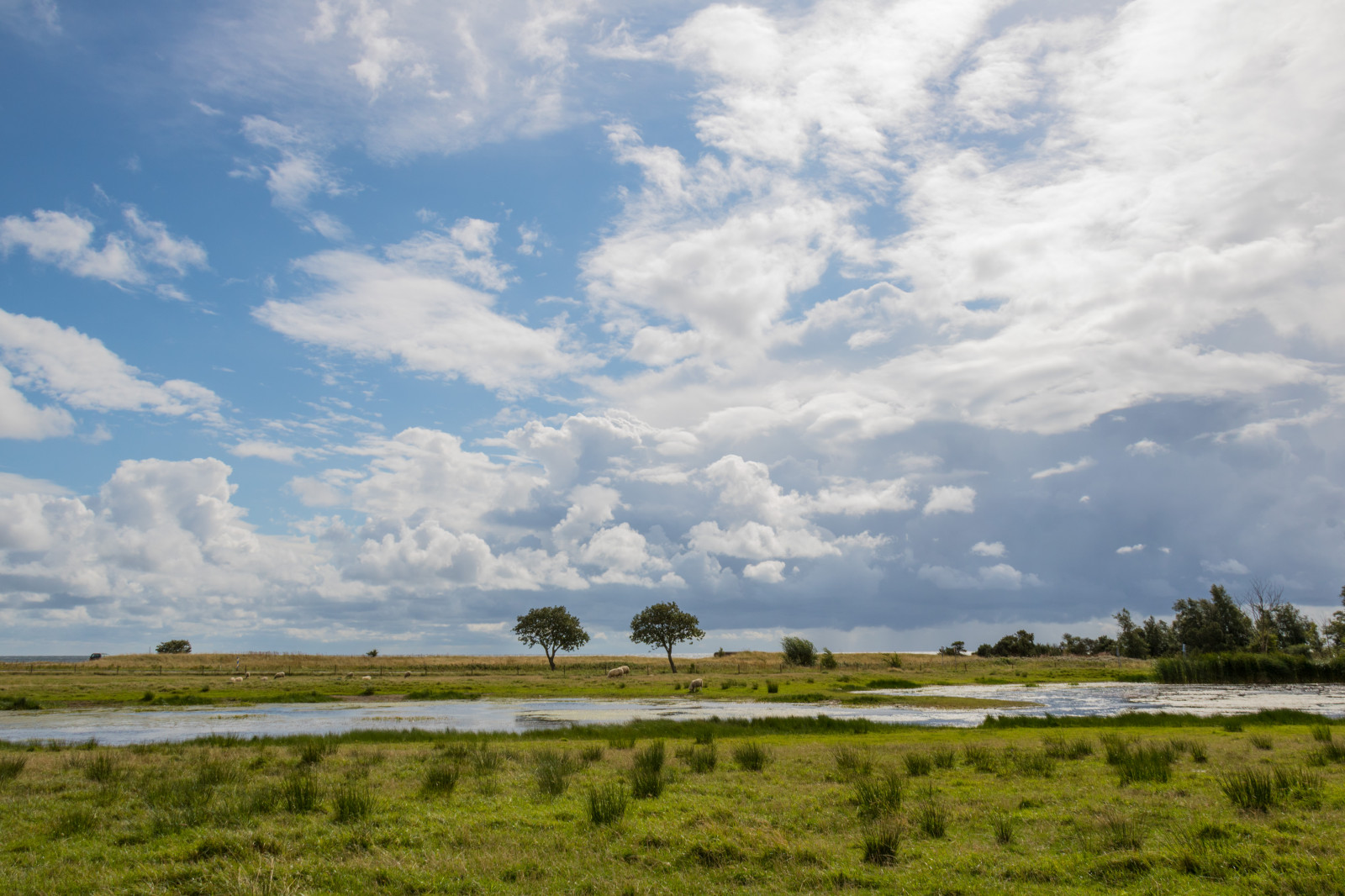 Landschaft, Meer, Hügel, Natur, Gras, Himmel, Feld, Horizont, Plateau, Steppe, Feuchtgebiet, Wolke, Baum, Berg, Wiese, Himmel, Geschmolzen, Weide, S dersl tt, Smygehamn, Exif Modell canoneos760d, Geocountry, Kamera macht canon, Geocity, Kameramodell canoneos760d, Geostate, Geolocation, Exif linse efs18200mmf3556is, Exif machen canon, Exif isospeed 100, Exif focallength 18mm, Exif Blende 11, Natyr, Sp nsv tmark, Wiese, Ebene, Prärie, Sumpf, See, ländliches Gebiet, Lebensraum, natürlichen Umgebung, geographische Eigenschaft, Ökosystem, Meteorologisches Phänomen, Savanne