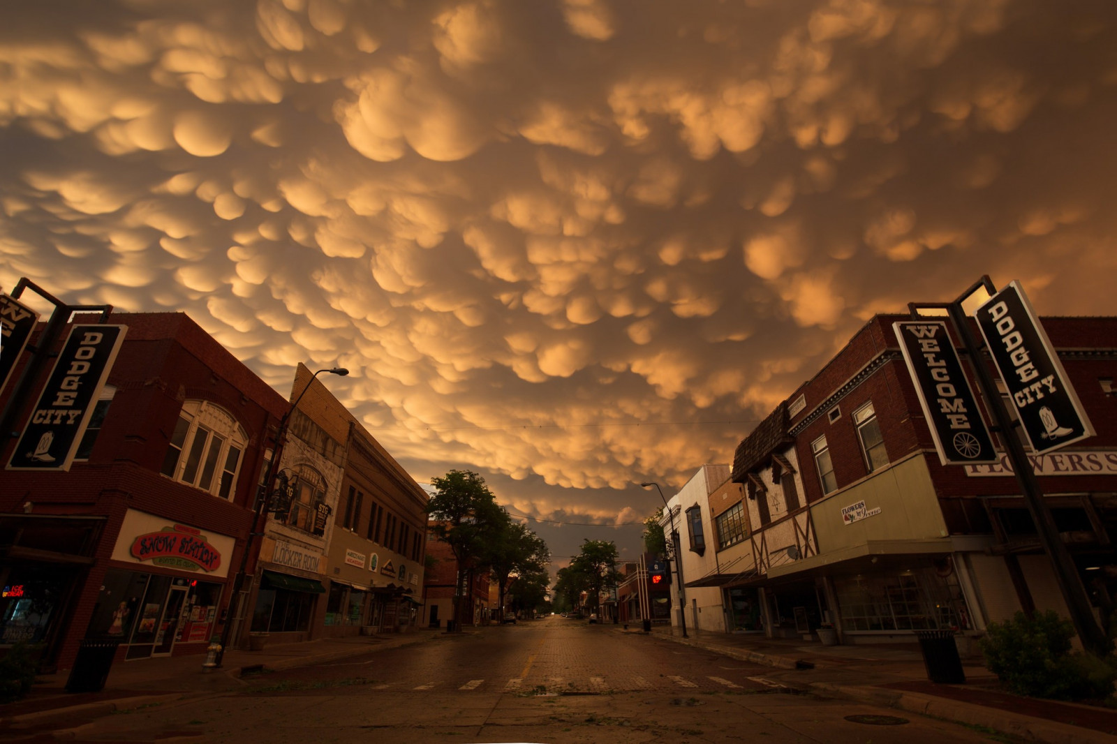 sollys, træer, solnedgang, by, gade, bybilledet, nat, himmel, vej, fotografering, skyer, hus, aften, morgen, by, butikker, skumring, banner, infrastruktur, Sky, daggry, byområde, boligområde