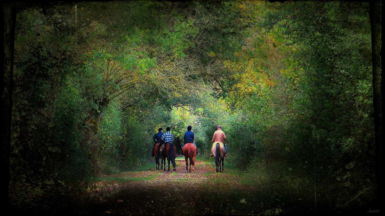 Sonnenlicht, Wald, Natur, Pferd, Holz, Grün, Morgen, Textur, Frankreich, Dschungel, Gehen, Rätselung, Licht, Baum, Tier, Herbst, Reiten, Blatt, Jahreszeit, Dunkelheit, Promenade, Foret, Bois, Reiter, Cheval, Wald, Lebensraum, natürlichen Umgebung, Atmosphärisches Phänomen, Computer-Tapete, Holzige Pflanze, Anjou, Kavaliere, Canonpowershotg6
