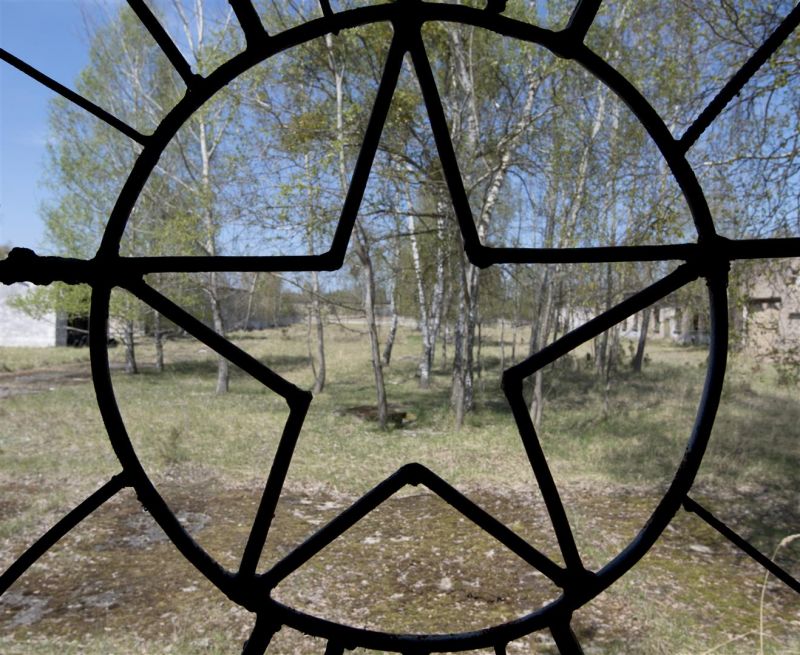 struktura, železo, sklenka, okno, strom, tráva struktura, železo, sklenka, okno, strom, tráva