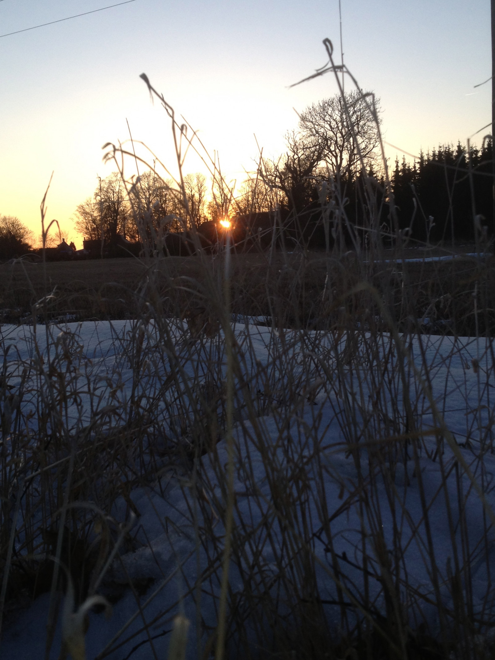slunečnímu záření, krajina, pouliční osvětlení, západ slunce, noc, odraz, nebe, sníh, zima, svítání, led, večer, ráno, mráz, slunce, vítr, soumrak, světlo, strom, počasí, svítání, sezóna, osvětlení, soderslatt, outdoor struktura