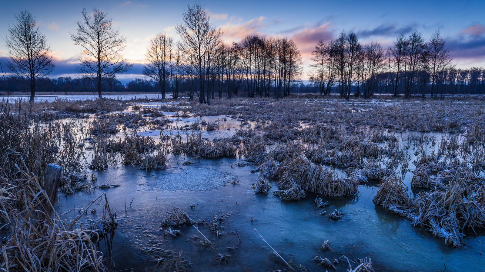 Cold Jpg Wallpaper : nature, cold, women outdoors, landscape, winter, ice, frost ...