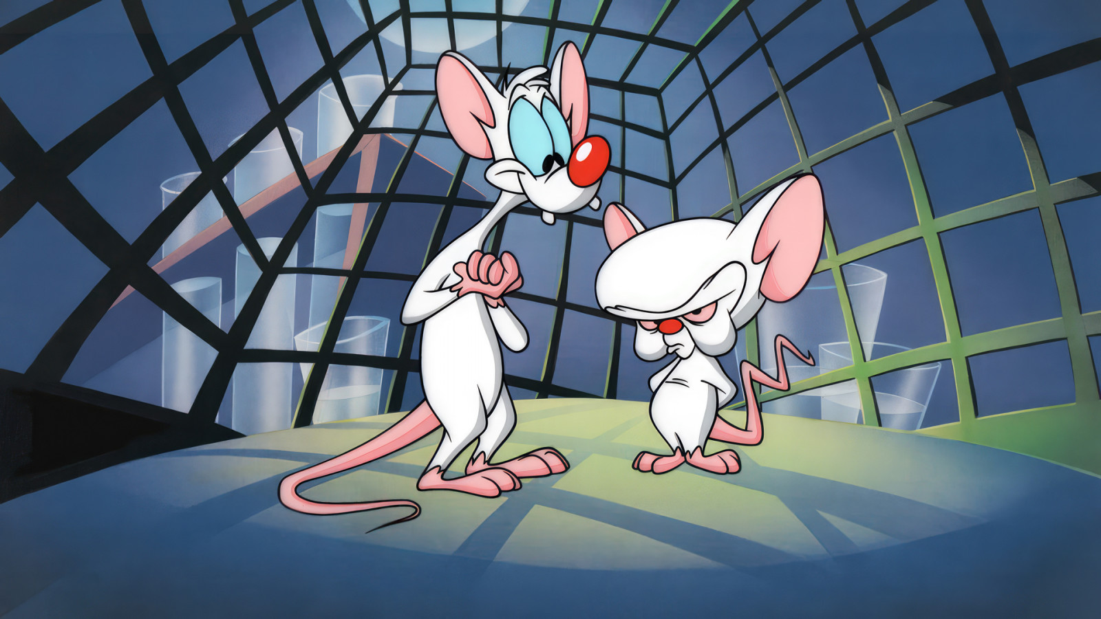 Fond d'écran Pinky and the Brain, animation, Série animée, dessin