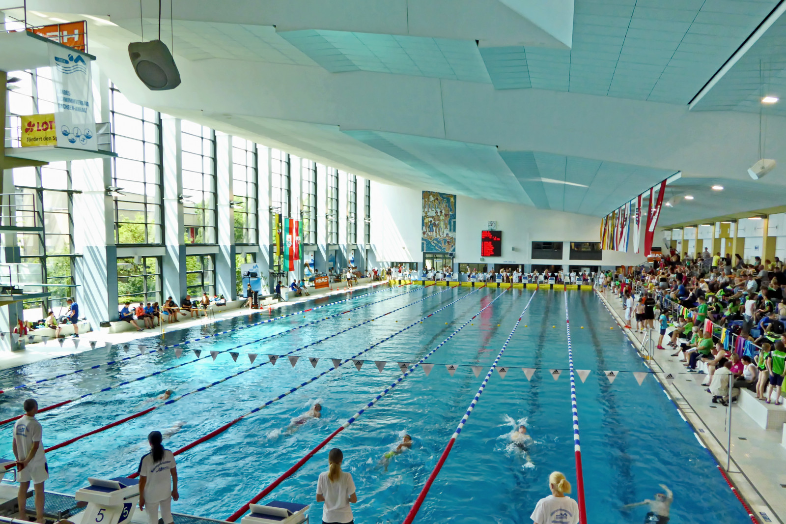 bazén, plavání, krytý, Magdeburg, baden, Labe, schwimmhalle, vnitřní bazén, elbeschwimmhalle, elbeschwimmhallemagdeburg, badenmagdeburg