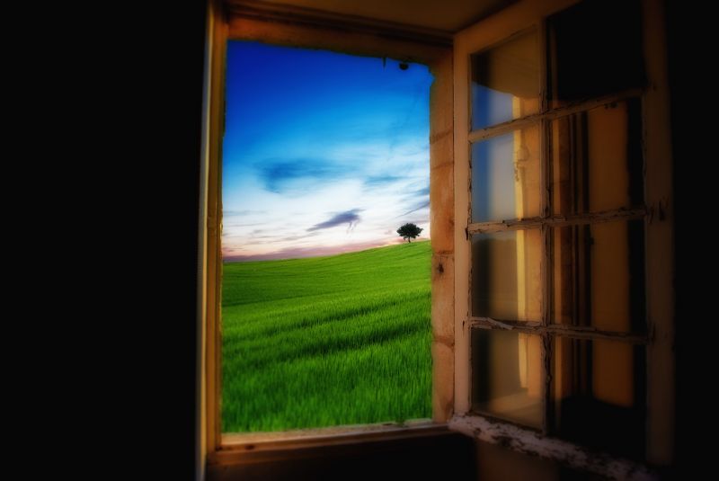 landskab, natur, sollys, vindue, værelse, væg