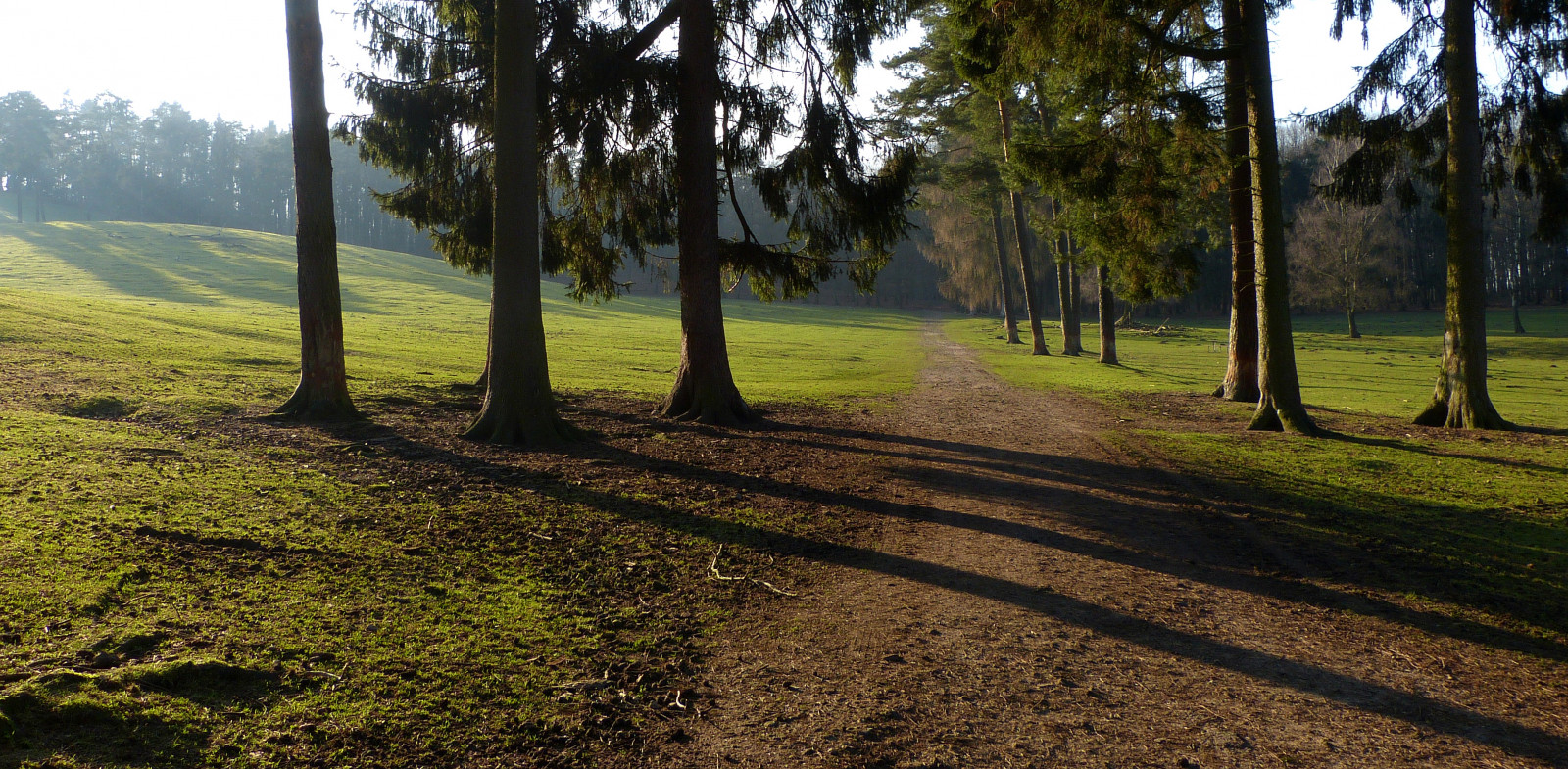 เยอรมนี, แนวนอน, deutschland, ngc, Duitsland, landschap, platinumheartaward, naturwildparkgranat, panasonicdmcfz150, 1200316