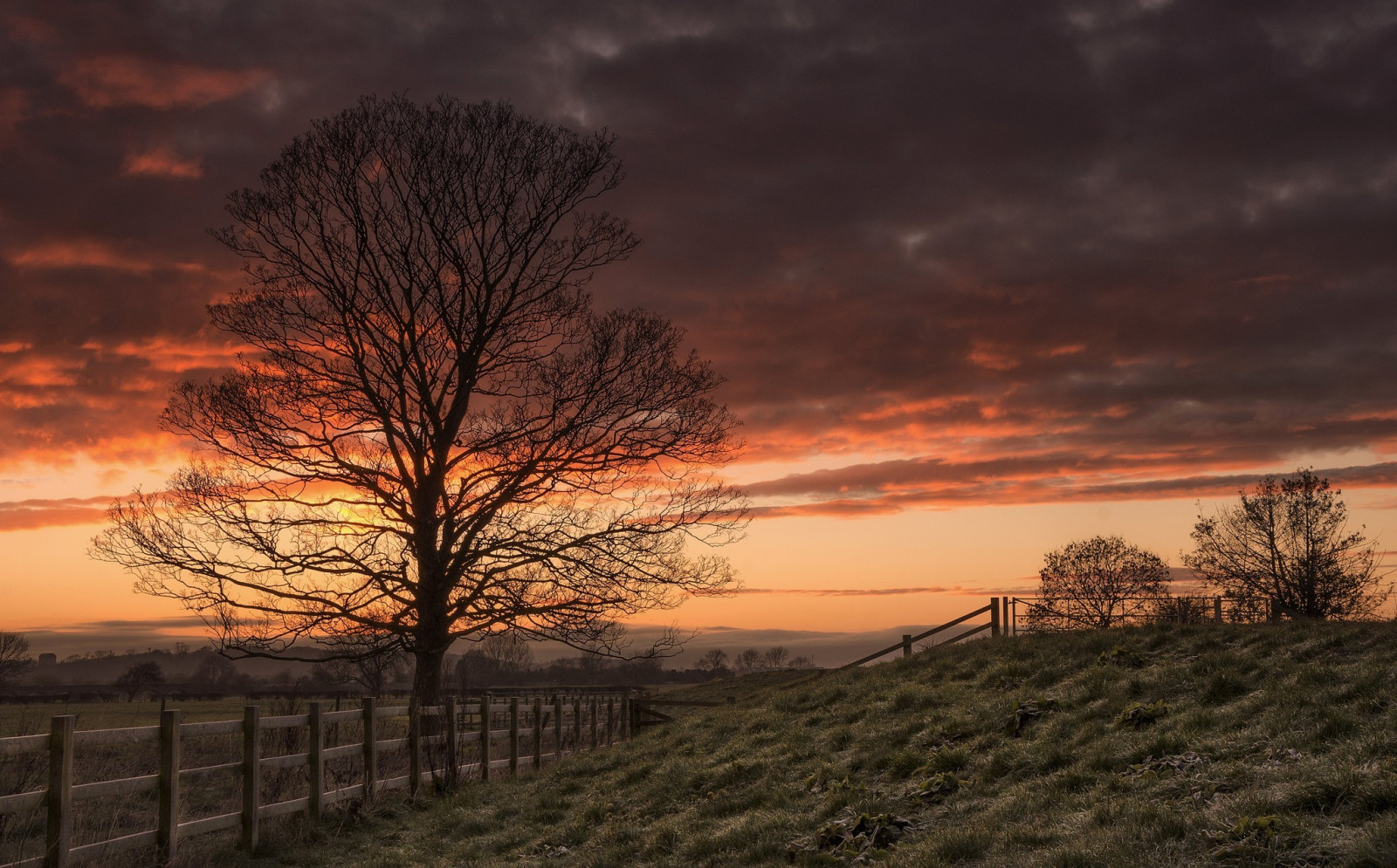 2048x1274 px, landschap, natuur, bomen