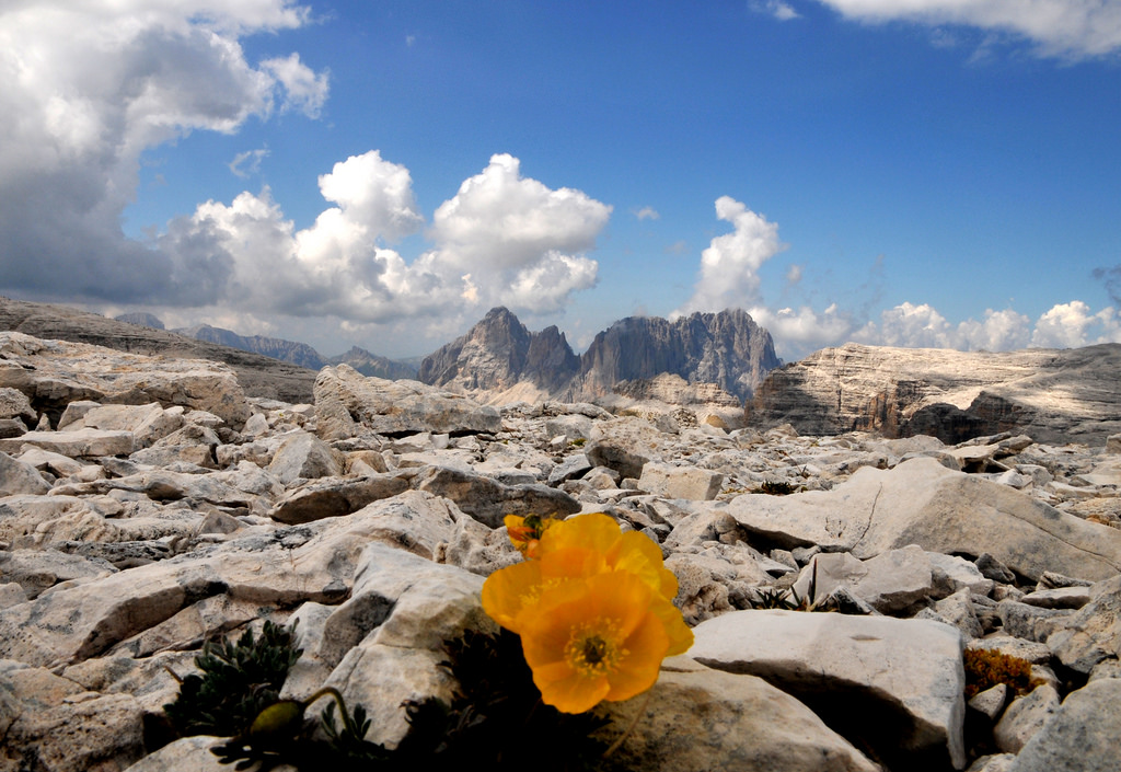 Northern Italy Rocks Wallpaper : landscape, Italy, rock, sky, stones, national park, stone ...
