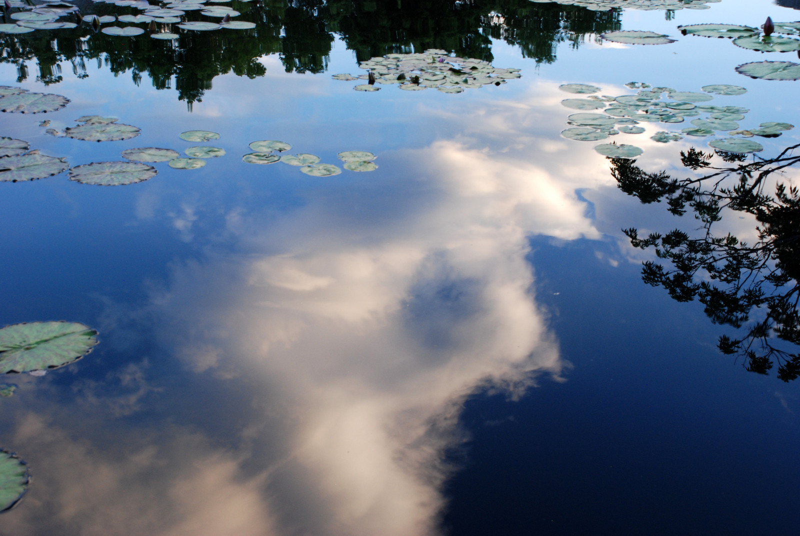 Water Reflection Wallpaper : landscape, lake, reflection, sky, clouds, Earth, calm ...