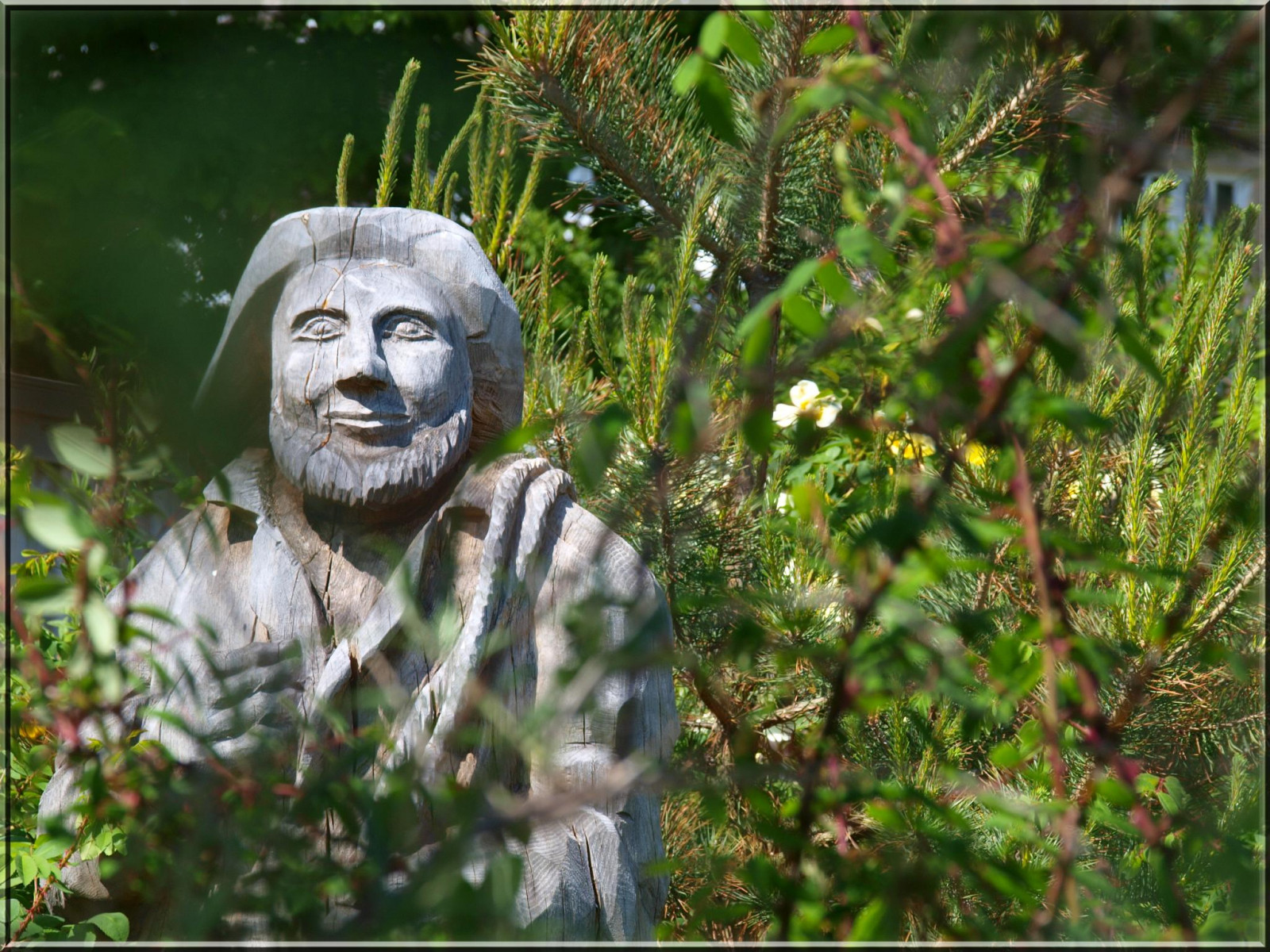 zahrada, Volně žijících živočichů, sochařství, socha, džungle, rybář, památník, 2012, Ostsee, figur, fauna, ostseeleuchte, garten, fischer, Baltské moře, primát, holzstatue, Grossenbrode, strandgarten, grosenbrode