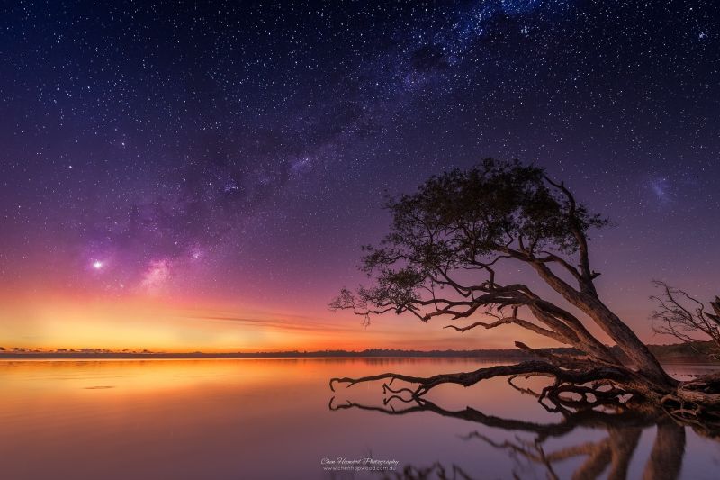 Bäume, Landschaft, Nacht-, Himmel, Meer, Galaxis