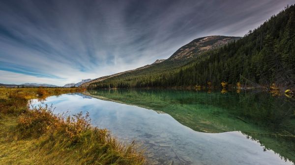 sunlight, landscape, forest, mountains, fall, hill
