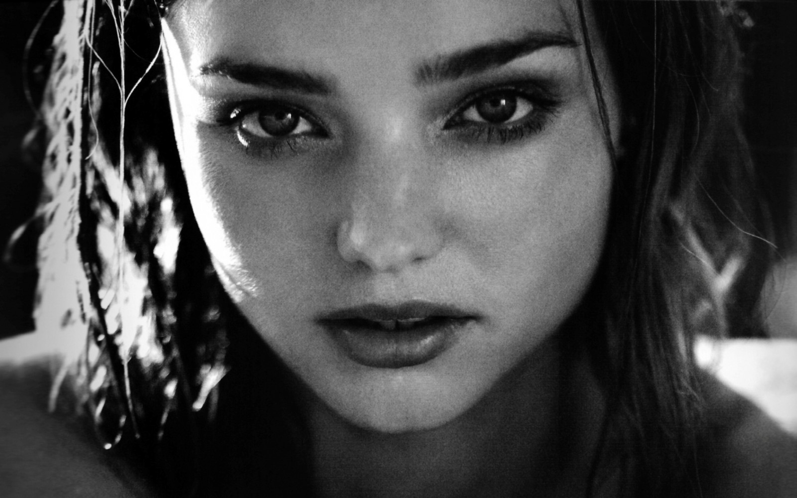 tvář, bílý, Černá, ženy, černobílý, model, portrét, modré oči, bruneta, fotografování, vlasy, smyslný pohled, nos, Miranda Kerr, emoce, Osoba, hlava, dívka, krása, usměj se, oko, tma, Černý a bílý, monochromatické fotografování, portrétní fotografie, focení, Film noir, hnědé vlasy, mimika, orgán, zblízka